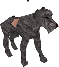 Stray dog