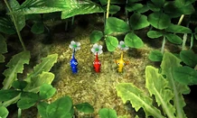 6- Pikmin