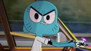 SternLook