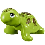 FriendsTurtle