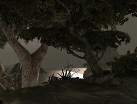 Ironwood Clearing