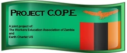 Project COPE logo, 2-6-13