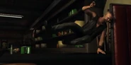 SI Merle Jumping