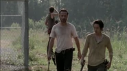 TWD 11111