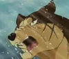 Riki1m
