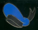 Donaldshat
