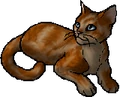 Daisytail.star