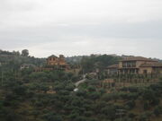 IMG 0456