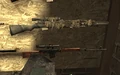 Dragunov and M21 ghillie FNG COD4