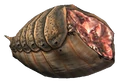 Ash hopper meat.png