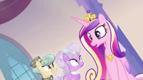 Princess Cadance "all the precise instructions" S03E12