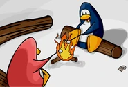 Cove Campfire