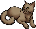 Mudfur.star