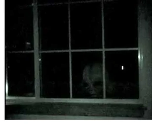 At-the-window