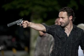 TWD GP 309 0816 0275