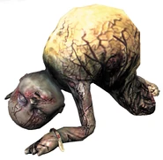Crawler-full-body