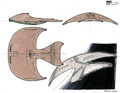 D'Kora class concepts.jpg