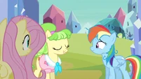 Rainbow Dash just struggling S3E12