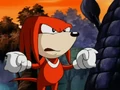 KnucklesHates