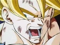 DBZ - 271 - Spirit Bomb Triumphant-(025749)16-53-51-