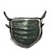 Surgical Mask