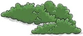 Bushes