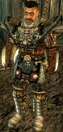 Gorn CM2.6