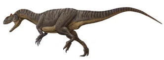 Allosaurus raul martin