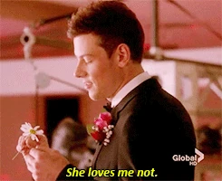 Finchel I Do 1