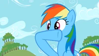 Rainbow Dash huh S2E15