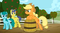 Applejack can't sale S2E15
