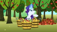 Rarity lovely S2E15