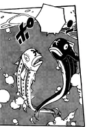 Back to Fish