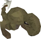 Barbtailed kebbit old
