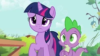 Twilight and Spike concerned S03E13