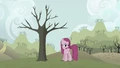 Pinkie Pie in front of withering tree S03E13.png