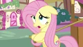 Fluttershy fiddles with her hooves S03E13.png