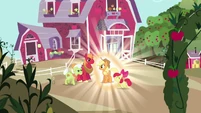 Applejack rediscovers her destiny S03E13