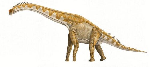 google arts & culture natural history giraffatitan