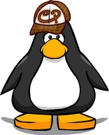 BrownSkaterHatPC