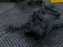 Charred Body Red Black