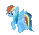 Rainbow dash run