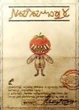 XII Steckbrief Streunertomate