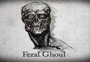 Feralstory
