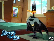 Lt wp daffy2 800x600
