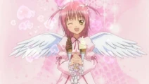 Angel Wink