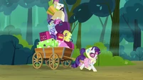 Rarity Full Cart S03E06