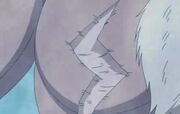 Cicatriz Tercer Raikage