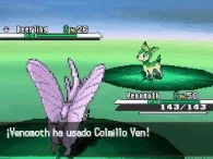 Colmillo Ven. NB