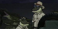 Alligators